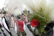 image (36)(3)